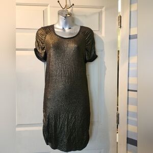 Ann Taylor Metallic Dress